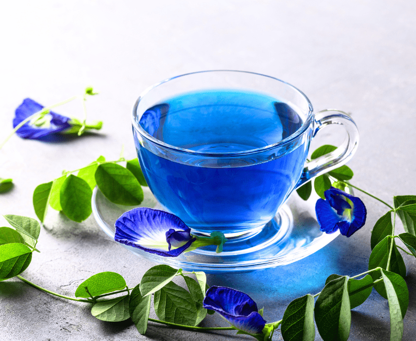 Blue Butterfly Pea Tea